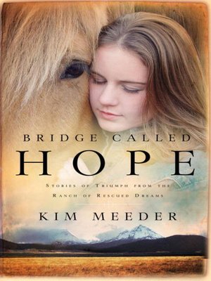 cover image of Bridge Called Hope